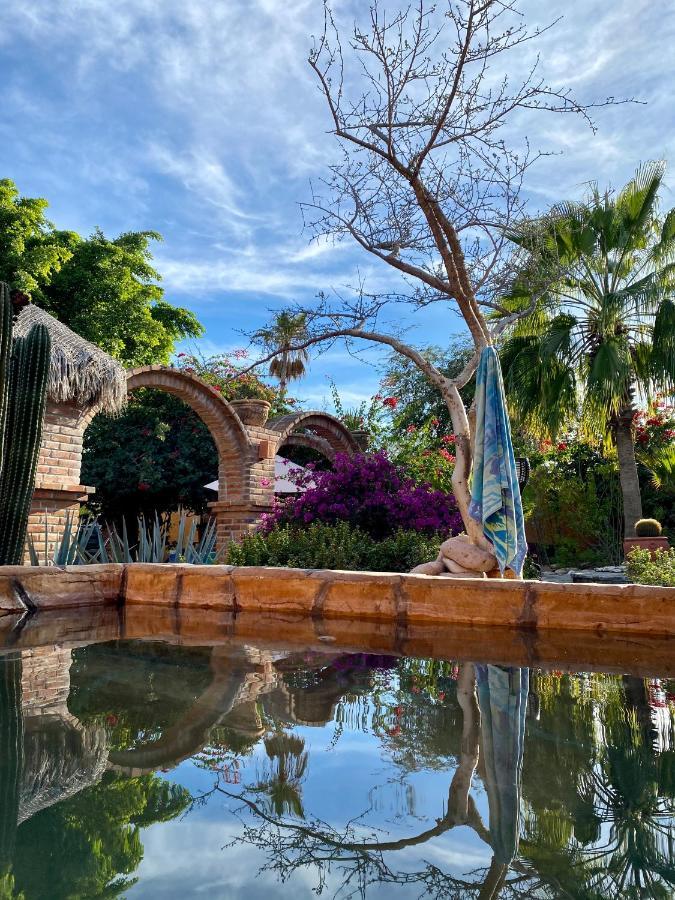 Casa Xochitl Bed and Breakfast El Centenario Buitenkant foto