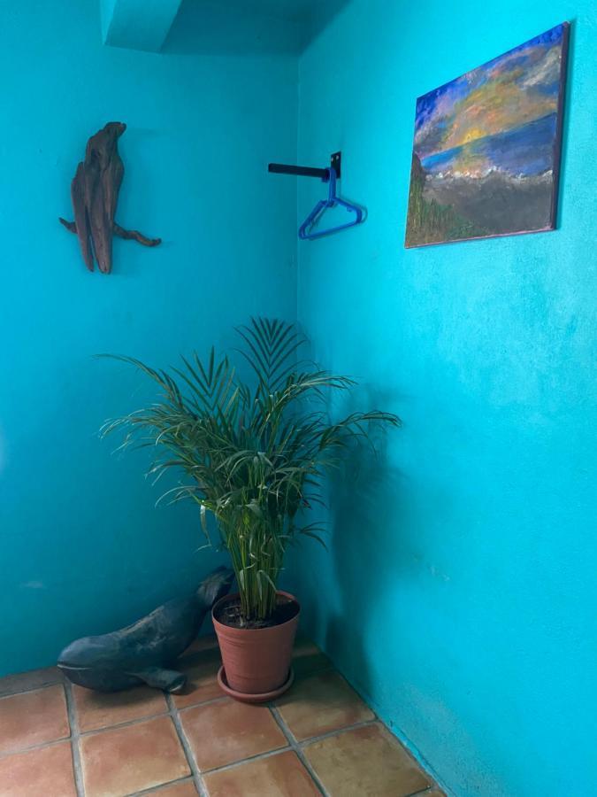 Casa Xochitl Bed and Breakfast El Centenario Buitenkant foto
